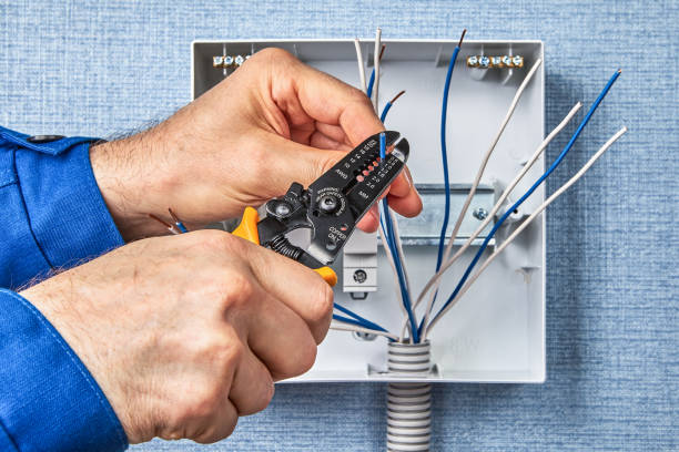 Best Electrical Maintenance Services  in Spring Creek, NV